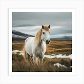 White Horse In Iceland Art Print