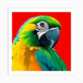 Parrot Art Print