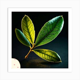 Olive leaf Art Print