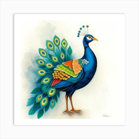 Peacock Art Print