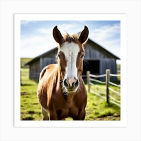 Horse In The Pasture Art Print