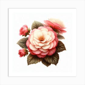 Flower of Begonia 3 Art Print