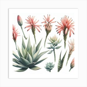 Flower of Aloe 1 Art Print