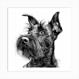 Cesky Terrier Dog Line Sketch 2 Art Print