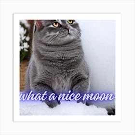 What A Nice Moon Art Print