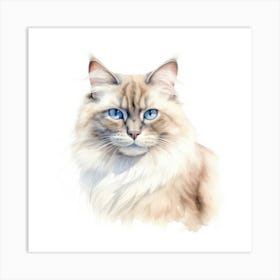 Neva Masquerade Cat Portrait 3 Art Print