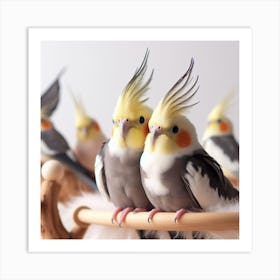 Cockatiels 3 Art Print