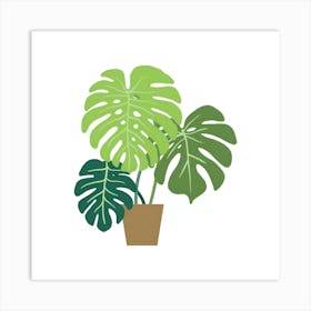 Monstera Nature Plant Art Print