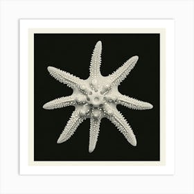 Starfish 1 Art Print