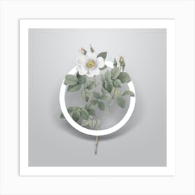 Vintage Twin Flowered White Rose Minimalist Botanical Geometric Circle on Soft Gray Art Print