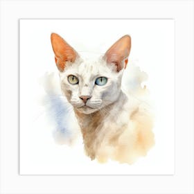 Burmilla Cat Portrait 2 Art Print