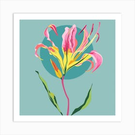 Gloriosa Lily 2 Square Flower Illustration Art Print