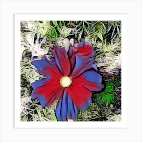 Cosmos Flower Art Print