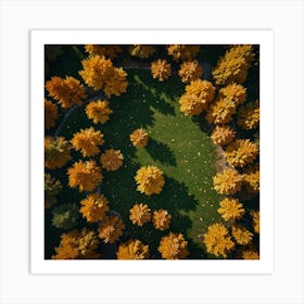 Aerial View Of Autumn Trees 1 Art Print