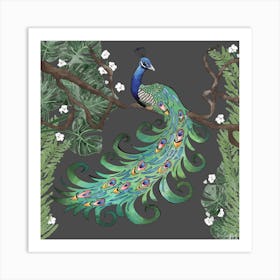 Proud Peacock Square Art Print
