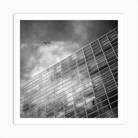 Soar Square Art Print