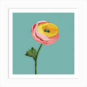 Ranunculus 2 Square Flower Illustration Art Print