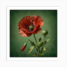 Poppies 6 Art Print