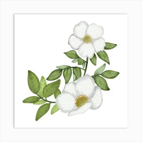 Five petals wild rose Art Print