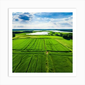 Grass Peace Air Structure Pasture Soy Bean High Country Rural Green Farm Overhead Natur (6) Art Print