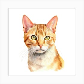 Hungarian Shorthair Cat Portrait 2 Art Print