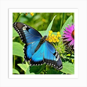 Blue Swallowtail Butterfly 5 Art Print