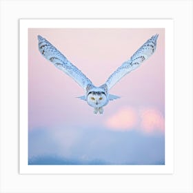 Snowy Owl White Plumage Intense Yellow Eyes Soaring Above Morning Covered Snowscape Background O Art Print