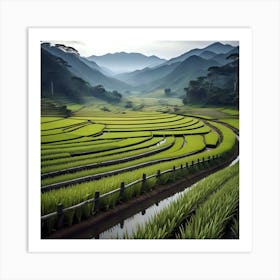 Rice Fields In Vietnam Art Print