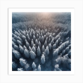 Aerial View Of Snowy Forest 5 Art Print