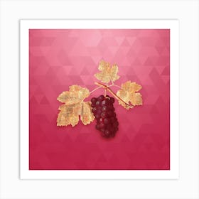 Vintage San Columbano Grapes Botanical in Gold on Viva Magenta n.0423 Art Print