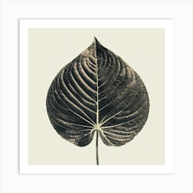 Leaf 1 2 Art Print