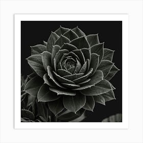 Black And White Flower 1 Art Print