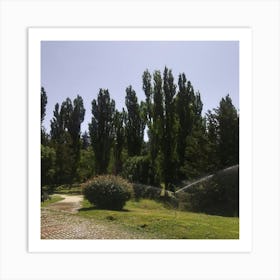 Water Sprinkler In The Park 2 Art Print