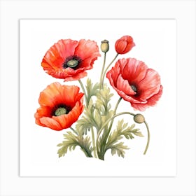 Watercolor Poppies Art Print