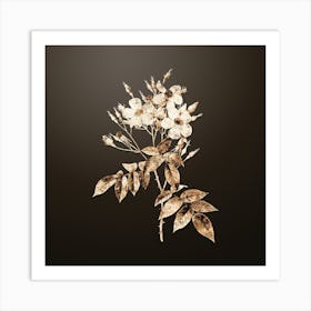 Gold Botanical Musk Rose on Chocolate Brown n.0290 Art Print