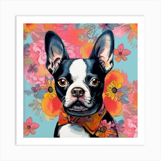 Mercedes Lopez Charro - Frenchie Fashion Dog - STYLE & FASHION