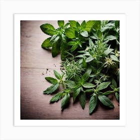 Fresh Herbs On Wooden Table Art Print