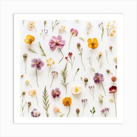 Dried Wild Flowers 16 Art Print