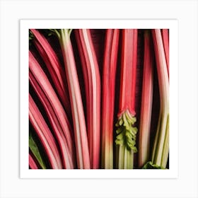 Rhubarb As A Frame Mysterious (1) Art Print