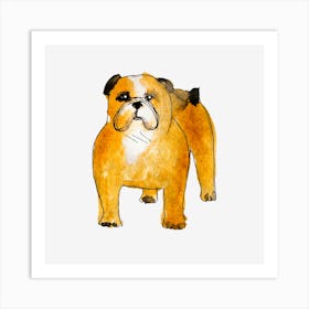 Bulldog Art Print