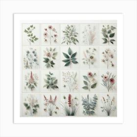 Flowers On A Wall Art Print