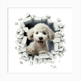 Poodle Art Print