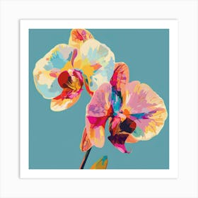 Orchids 10 Art Print