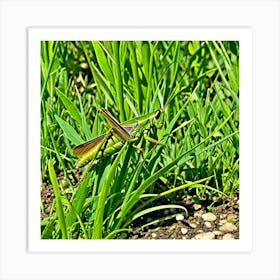 Grasshoppers Insects Jumping Green Legs Antennae Hopper Chirping Herbivores Garden Fields (15) Art Print