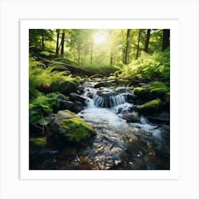 Stream In The Forest Art Print