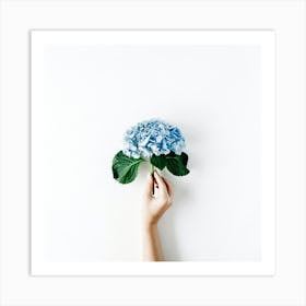 Blue Hydrangea Art Print