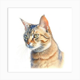 Zambian Cat Portrait 1 Art Print