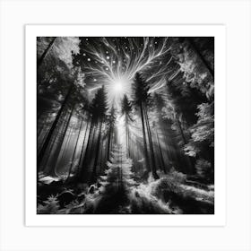 Forest Of Light Art Print