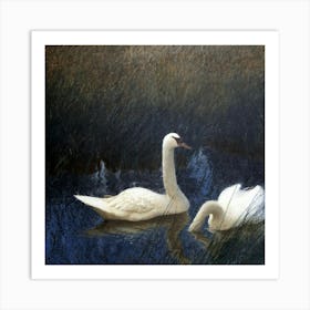 Swan 1 Art Print