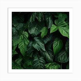 Tropical Leaves Background 5 Art Print